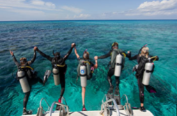 Sortie « 1ères bulles » Ascension 2020 – Cavalaire sur Mer