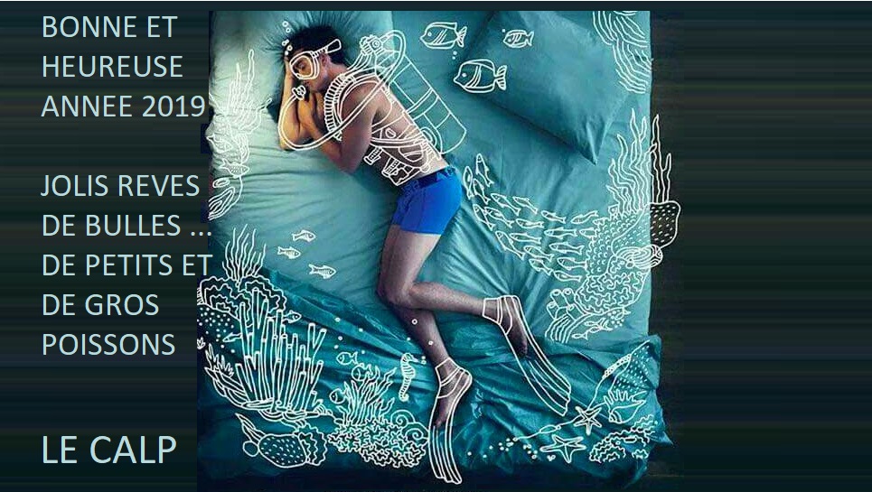 BONNE ANNEE 2019